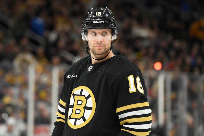 Feb 8, 2024; Boston, Massachusetts, USA; Boston Bruins center Pavel Zacha (18) during the third period against the Vancouver Canucks at TD Garden. Mandatory Credit: Bob DeChiara-USA TODAY Sports