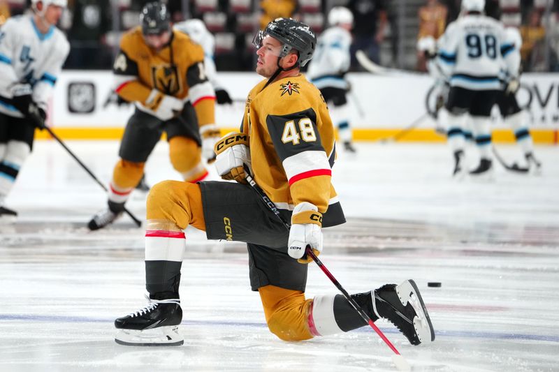 Nov 2, 2024; Las Vegas, Nevada, USA; Vegas Golden Knights center Tomas Hertl (48) warms up before a game against the Utah Hockey Club at T-Mobile Arena. Mandatory Credit: Stephen R. Sylvanie-Imagn Images