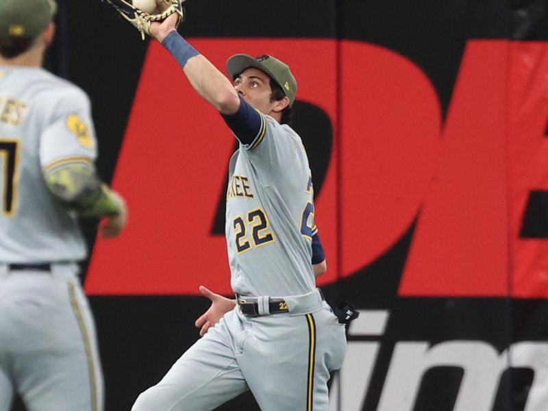 May 20, 2023; St. Petersburg, Florida, USA; Milwaukee Brewers left fielder Christian Yelich (22) catches a fly ball  during the third inning against the Tampa Bay Rays at Tropicana Field. Mandatory Credit: Kim Klement-USA TODAY Sports