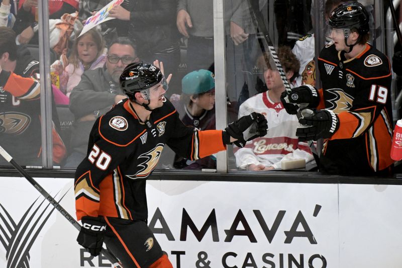 Mar 21, 2024; Anaheim, California, USA;  Anaheim Ducks right wing Brett Leason (20) is congratulated by right wing Troy Terry (19) after scoring a goal in the second period against the Chicago Blackhawks at Honda Center. Mandatory Credit: Jayne Kamin-Oncea-USA TODAY Sports