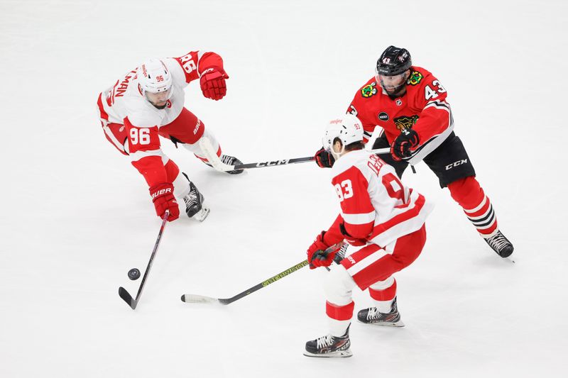 Feb 25, 2024; Chicago, Illinois, USA; Detroit Red Wings defenseman Jake Walman (96) defends against Chicago Blackhawks center Colin Blackwell (43) during the first period at United Center. Mandatory Credit: Kamil Krzaczynski-USA TODAY Sports