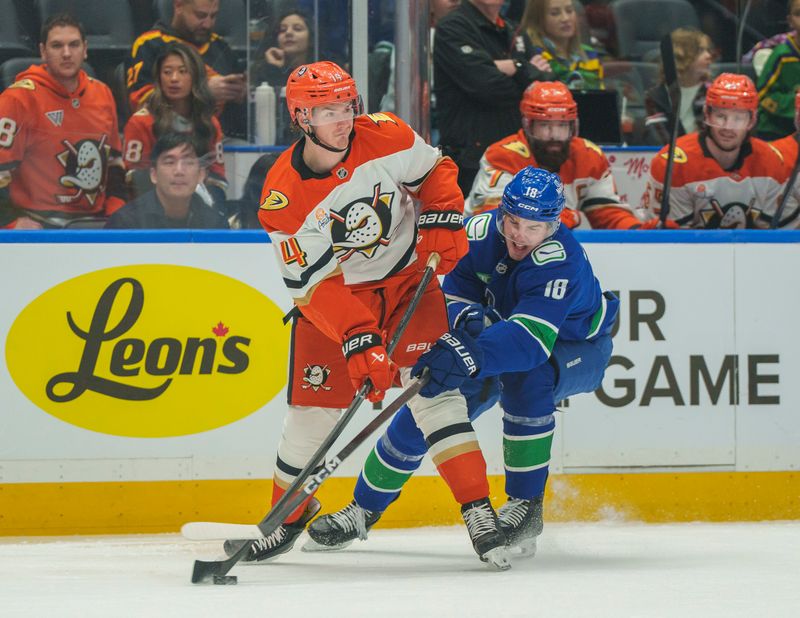 Jan 29, 2026; Vancouver, British Columbia, CAN;  Anaheim Ducks Defenseman Drew Helleson (14) battles with Vancouver Canucks left wing Drew O'Connor (18) during the first period at Rogers Arena. Mandatory Credit: Christopher Morris-Imagn Images