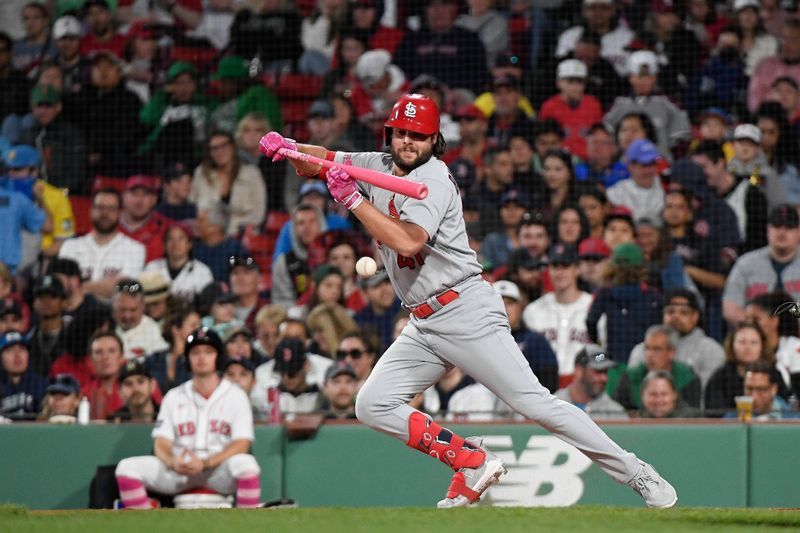 May 14, 2023; Boston, Massachusetts, USA; St. Louis Cardinals left fielder Alec Burleson (41) bunts during the fourth inning against the Boston Red Sox at Fenway Park. Mandatory Credit: Eric Canha-USA TODAY Sports