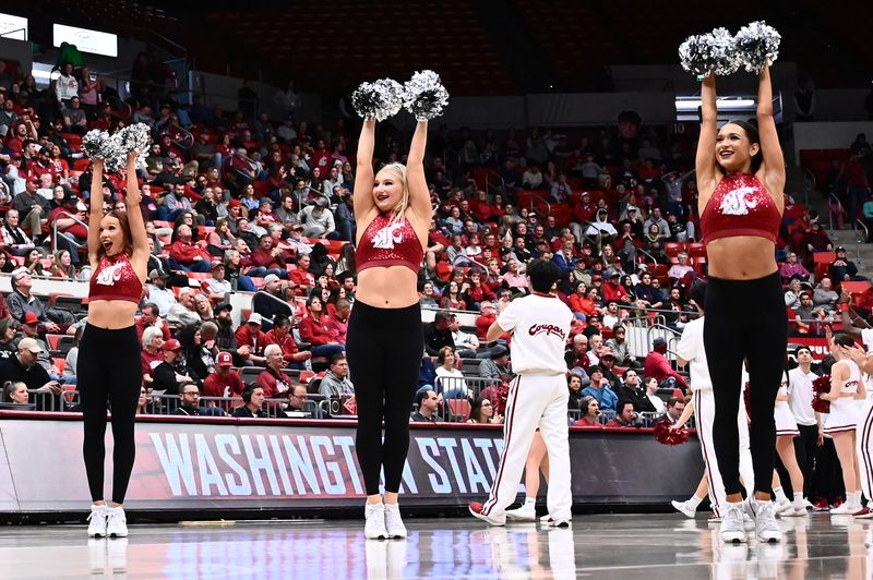 Jan 26, 2023; Pullman, Washington, USA; Washington State Cougars Crimson Girls perform during a game against the Arizona Wildcats in the second half at Friel Court at Beasley Coliseum. Arizona won 63-58. Mandatory Credit: James Snook-USA TODAY Sports