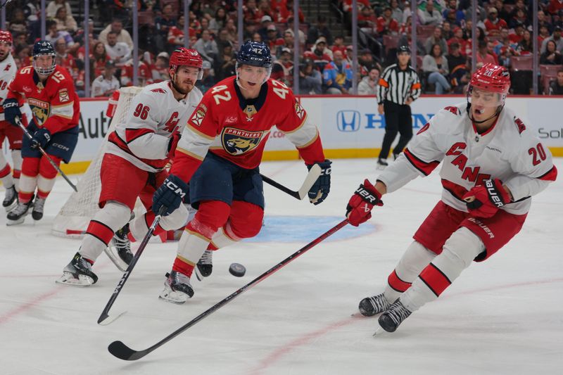 Nov 30, 2024; Sunrise, Florida, USA; Florida Panthers defenseman Gustav Forsling (42) clears the puck against the Carolina Hurricanes during the third period at Amerant Bank Arena. Mandatory Credit: Sam Navarro-Imagn Images