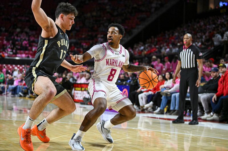 Feb 1, 2026; College Park, Maryland, USA;  Maryland Terrapins guard David Coit (8) looked to pass as Purdue Boilermakers guard Omer Mayer (17) defend during the second  half at Xfinity Center. Mandatory Credit: Tommy Gilligan-Imagn Images