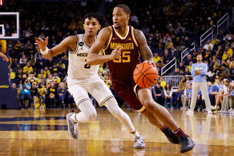 Jan 22, 2023; Ann Arbor, Michigan, USA;  Minnesota Golden Gophers guard Ta'lon Cooper (55) dribbles on Michigan Wolverines guard Kobe Bufkin (2) in the second half at Crisler Center. Mandatory Credit: Rick Osentoski-USA TODAY Sports