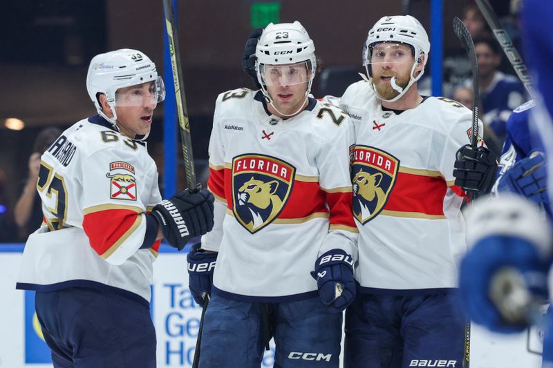 Panthers Electrify Lightning: Reinhart's Roar at Benchmark International Arena