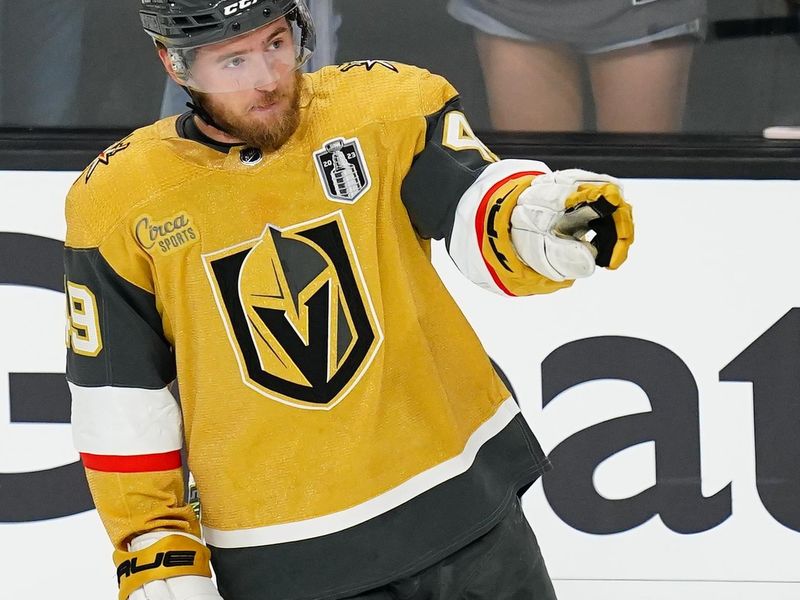 Jun 13, 2023; Las Vegas, Nevada, USA; Vegas Golden Knights forward Ivan Barbashev (49) celebrates his goal after scoring against Florida Panthers goaltender Sergei Bobrovsky (72) (not pictured) during the third period in game five of the 2023 Stanley Cup Final at T-Mobile Arena. Mandatory Credit: Lucas Peltier-USA TODAY Sports