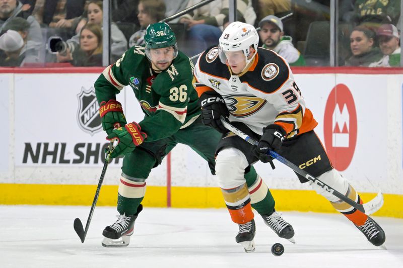 Mar 14, 2024; Saint Paul, Minnesota, USA; Anaheim Ducks forward Ben Meyers (39) protects the puck from Minnesota Wild forward Mats Zuccarello (36) during the second period at Xcel Energy Center. Mandatory Credit: Nick Wosika-USA TODAY Sports