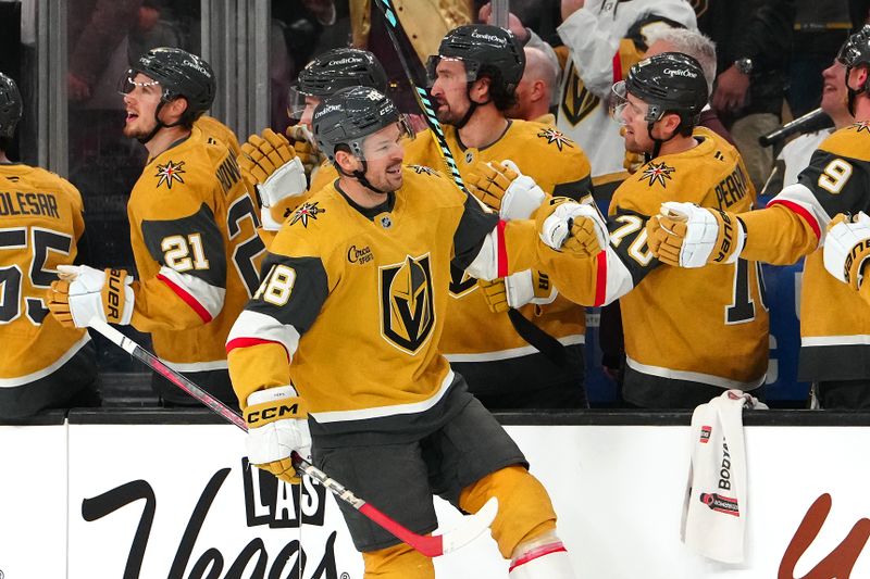 Mar 5, 2025; Las Vegas, Nevada, USA; Vegas Golden Knights center Tomas Hertl (48) celebrates after scoring a goal against the Toronto Maple Leafs during the first period at T-Mobile Arena. Mandatory Credit: Stephen R. Sylvanie-Imagn Images