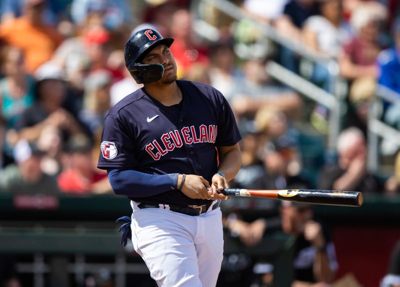 Mar 16, 2023; Goodyear, Arizona, USA; Cleveland Guardians infielder Josh Naylor hits a grand slam home run against the Chicago White Sox during a spring training game at Goodyear Ballpark. Mandatory Credit: Mark J. Rebilas-USA TODAY Sports