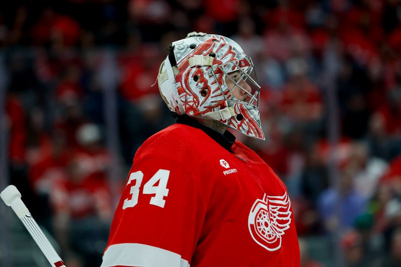 Apr 9, 2024; Detroit, Michigan, USA; Detroit Red Wings goaltender Alex Lyon (34) looks on in the first period against the Washington Capitals at Little Caesars Arena. Mandatory Credit: Rick Osentoski-USA TODAY Sports