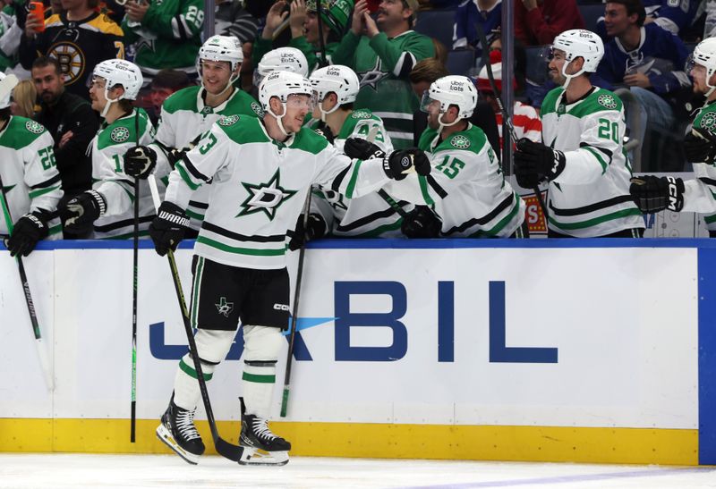 Oct 30, 2025; Tampa, Florida, USA; Dallas Stars left wing Adam Erne (73) is congratulated  by teammates after he scored a goal against the Tampa Bay Lightning during the third period at Benchmark International Arena. Mandatory Credit: Kim Klement Neitzel-Imagn Images