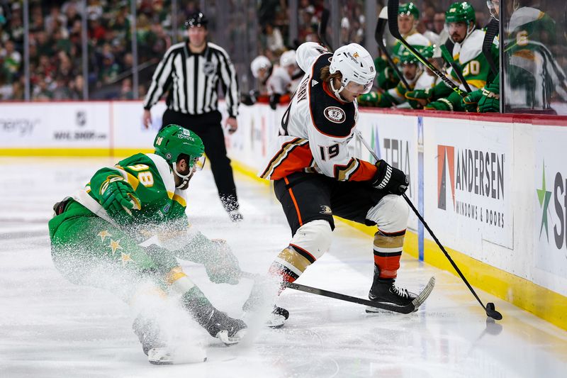 Jan 27, 2024; Saint Paul, Minnesota, USA; Anaheim Ducks right wing Troy Terry (19) skates with the puck as Minnesota Wild right wing Ryan Hartman (38) defends during the third period at Xcel Energy Center. Mandatory Credit: Matt Krohn-USA TODAY Sports