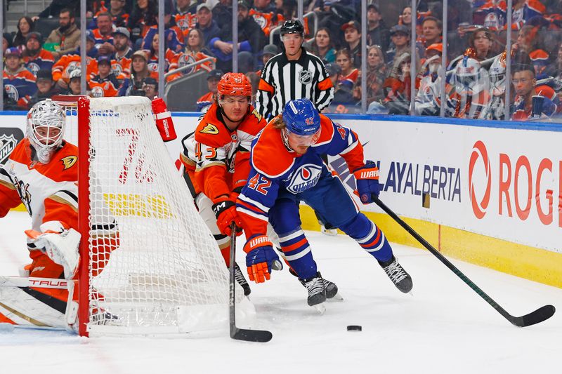 Jan 3, 2025; Edmonton, Alberta, CAN; Edmonton Oilers forward Kasperi Kapanen (42) protects the puck from Anaheim Ducks defensemen Drew Helleson (43) during the first period at Rogers Place. Mandatory Credit: Perry Nelson-Imagn Images