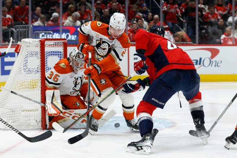 Jan 14, 2025; Washington, District of Columbia, USA; Anaheim Ducks goaltender John Gibson (36) makes a save on Washington Capitals right wing Tom Wilson (43) as  Ducks defenseman Jackson LaCombe (2) defends in the first period at Capital One Arena. Mandatory Credit: Geoff Burke-Imagn Images