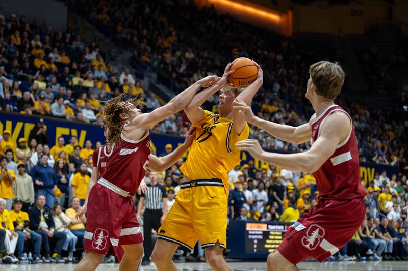 Feb 21, 2026; Berkeley, California, USA;  California Golden Bears center Mantas Kocanas (17) is fouled by Stanford Cardinal guard Jeremy Dent-Smith (25) during the second half at Haas Pavilion. Mandatory Credit: Neville E. Guard-Imagn Images