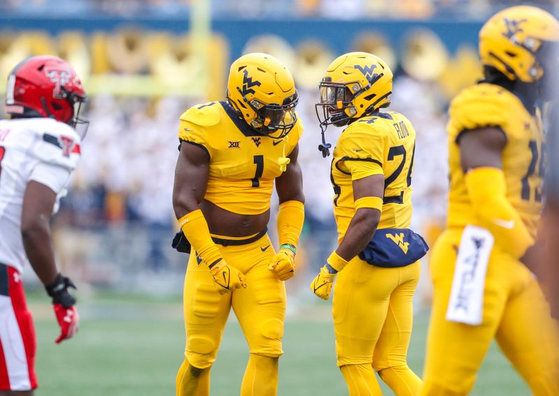 Sep 23, 2023; Morgantown, West Virginia, USA; West Virginia Mountaineers linebacker Lee Kpogba (1) and safety Marcis Floyd (24) celebrate a defensive stop during the first quarter against the Texas Tech Red Raiders at Mountaineer Field at Milan Puskar Stadium. Mandatory Credit: Ben Queen-USA TODAY Sports