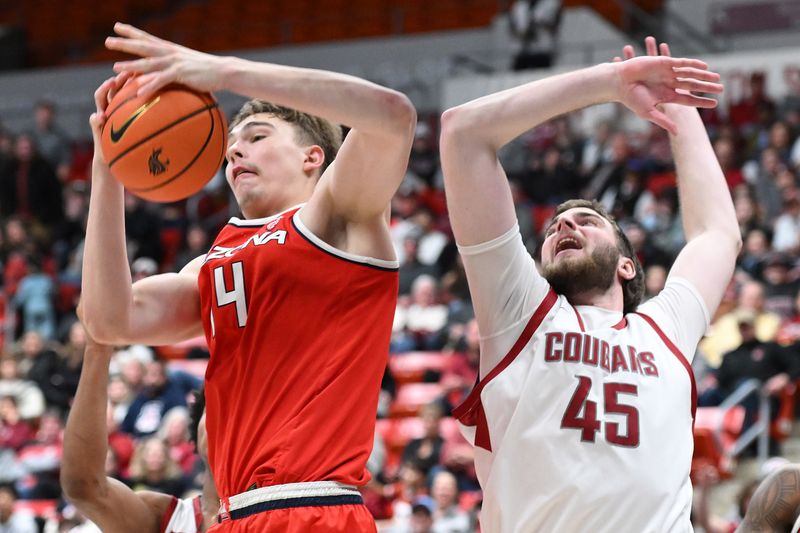 Jan 13, 2024; Pullman, Washington, USA; Arizona Wildcats center Motiejus Krivas (14) rebounds the ball against Washington State Cougars forward Oscar Cluff (45) in the second half at Friel Court at Beasley Coliseum. Washington State won 73-70. Mandatory Credit: James Snook-USA TODAY Sports