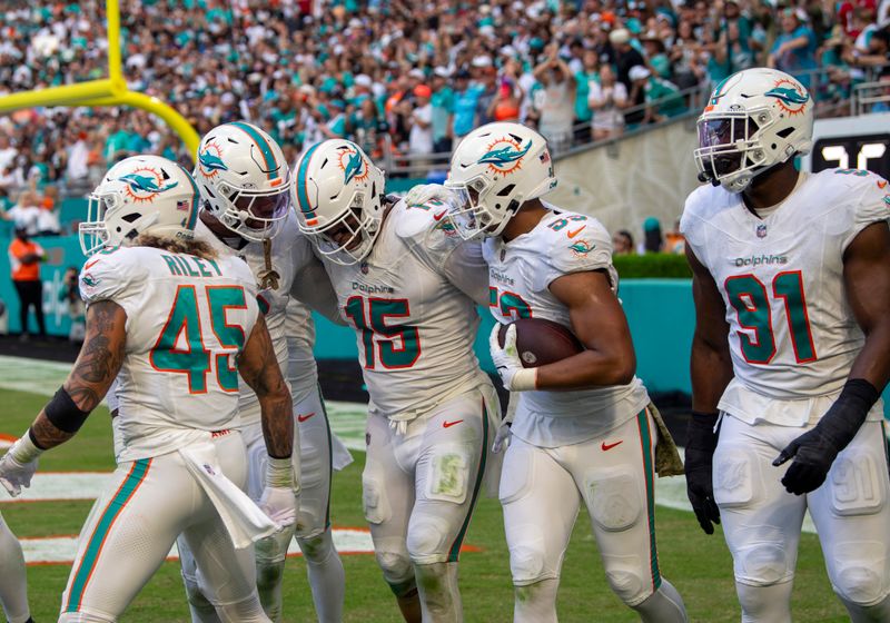 Miami Dolphins defenders celebrate after a play during the second half of an NFL football game against the Las Vegas Raiders, Sunday, Nov. 19, 2023, in Miami Gardens, Fla. (AP Photo/Michael Laughlin)