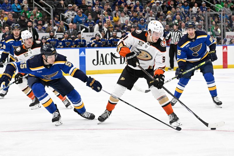 Mar 17, 2024; St. Louis, Missouri, USA; St. Louis Blues defenseman Colton Parayko (55) pressures Anaheim Ducks center Leo Carlsson (91) during the third period at Enterprise Center. Mandatory Credit: Jeff Le-USA TODAY Sports