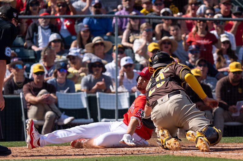 Mar 10, 2024; Tempe, Arizona, USA; Los Angeles Angels infielder Anthony Rendon (23) slides to score while San Diego Padres catcher Brett Sullivan (29) attempts to tag him in the sixth inning during a spring training game at Tempe Diablo Stadium. Mandatory Credit: Allan Henry-USA TODAY Sports