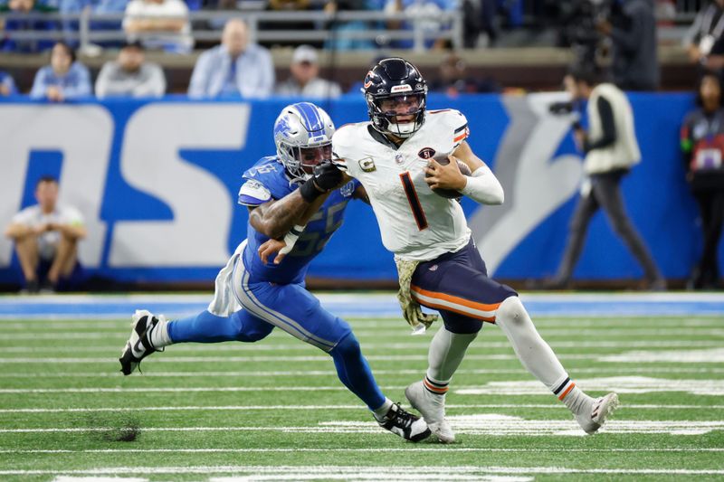 Chicago Bears quarterback Justin Fields (1) is tackled by Detroit Lions linebacker Derrick Barnes (55) in the second half of an NFL football game at Ford Field in Detroit, Sunday, Nov. 19, 2023. (AP Photo/Rick Osentoski)