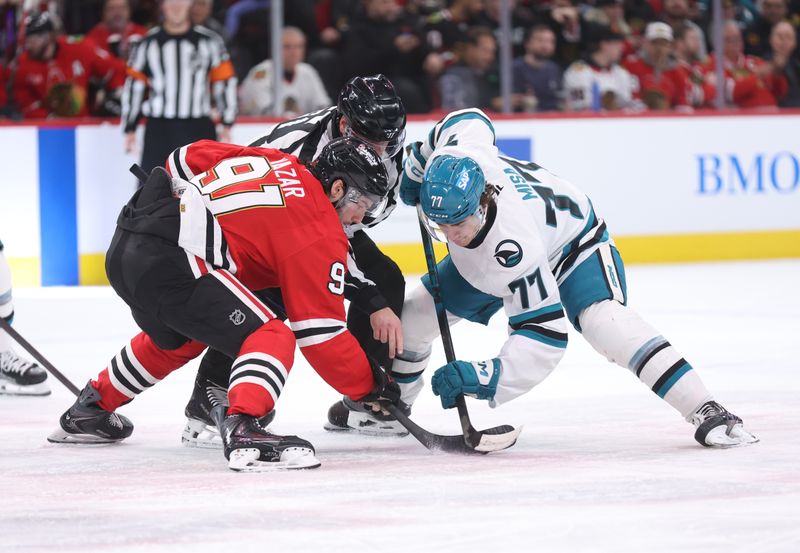 Feb 2, 2026; Chicago, Illinois, USA; Chicago Blackhawks center Frank Nazar (91) and San Jose Sharks center Michael Misa (77) take a face-off during the second period at United Center. Mandatory Credit: Talia Sprague-Imagn Images