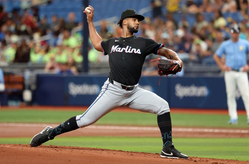 Jul 31, 2024; St. Petersburg, Florida, USA; Miami Marlins starting pitcher Roddery Munoz (71) throws against the Tampa Bay Rays during the first inning at Tropicana Field. Mandatory Credit: Kim Klement Neitzel-USA TODAY Sports