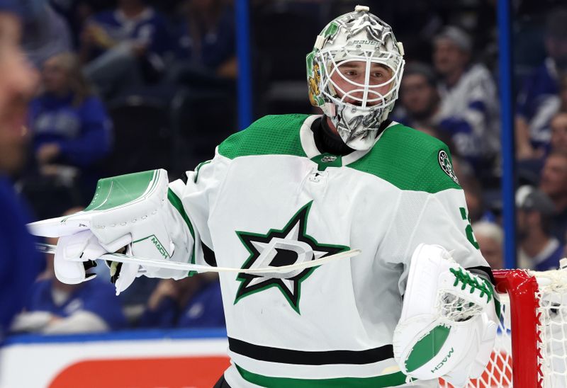 Dec 4, 2023; Tampa, Florida, USA; Dallas Stars goaltender Jake Oettinger (29) looks on against the Tampa Bay Lightning during the first period at Amalie Arena. Mandatory Credit: Kim Klement Neitzel-USA TODAY Sports