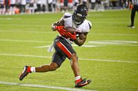 Chicago Bears Eye Victory Against Houston Texans: Betting Odds Favor Underdogs