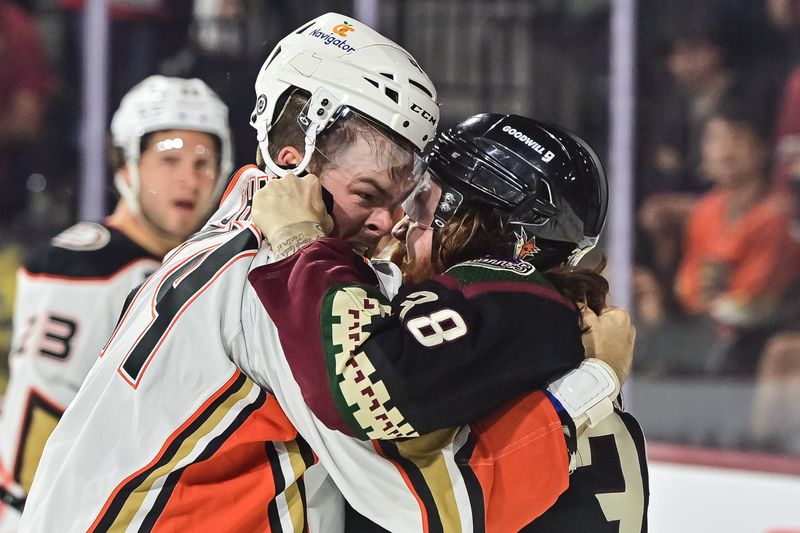 Oct 21, 2023; Tempe, Arizona, USA;  Arizona Coyotes center Liam O'Brien (38) and Anaheim Ducks left wing Ross Johnston (44) grab each other in the second period at Mullett Arena. Mandatory Credit: Matt Kartozian-USA TODAY Sports