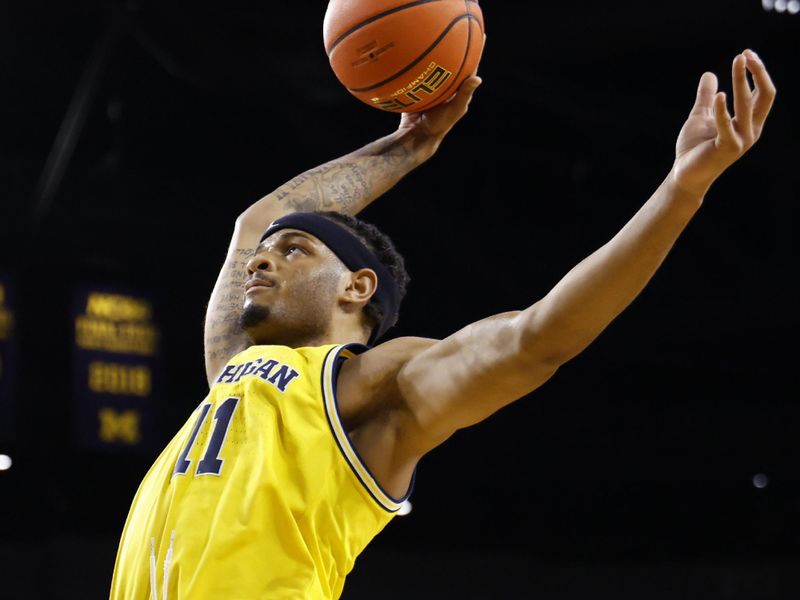Dec 9, 2025; Ann Arbor, Michigan, USA;  Michigan Wolverines guard Roddy Gayle Jr. (11) before the race in the second half against the Villanova Wildcats at Crisler Center. Mandatory Credit: Rick Osentoski-Imagn Images