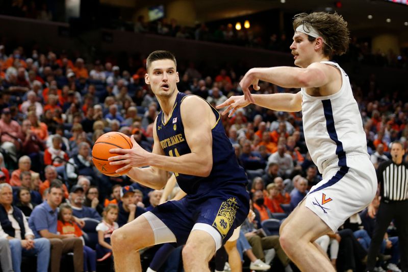 Feb 18, 2023; Charlottesville, Virginia, USA; Notre Dame Fighting Irish forward Nate Laszewski (14) controls the ball as Virginia Cavaliers forward Ben Vander Plas (5) defends during the first half at John Paul Jones Arena. Mandatory Credit: Amber Searls-USA TODAY Sports