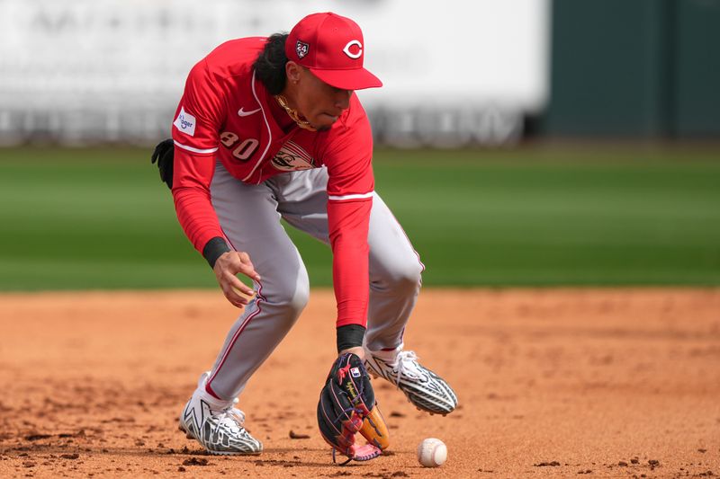 Feb. 24, 2024; Goodyear, Arizona, USA; Cincinnati Reds shortstop Edwin Arroyo fields a ground ball in the fifth inning during a MLB spring training baseball game against the Cleveland Guardians at Goodyear Ballpark. Mandatory Credit: Kareem Elgazzar-USA TODAY Sports