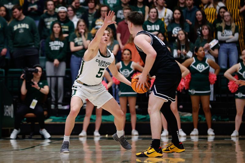 Feb 4, 2023; Fort Collins, Colorado, USA; Utah State Aggies guard Max Shulga (11) controls the ball as Colorado State Rams guard Baylor Hebb (5) guards in the second half at Moby Arena. Mandatory Credit: Isaiah J. Downing-USA TODAY Sports