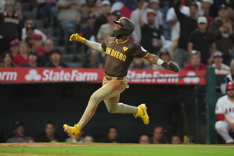 Jun 3, 2024; Anaheim, California, USA; San Diego Padres designated hitter Jurickson Profar (10) rounds third base in the sixth inning against the Los Angeles Angels at Angel Stadium. Mandatory Credit: Kirby Lee-USA TODAY Sports