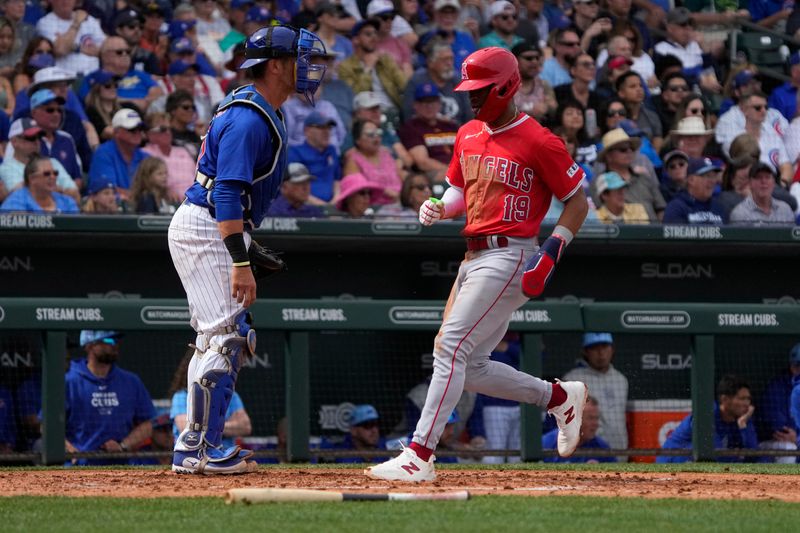 Mar 6, 2024; Mesa, Arizona, USA; Los Angeles Angels second baseman Kyren Paris (19) scores a run against the Chicago Cubs in the third inning at Sloan Park. Mandatory Credit: Rick Scuteri-USA TODAY Sports