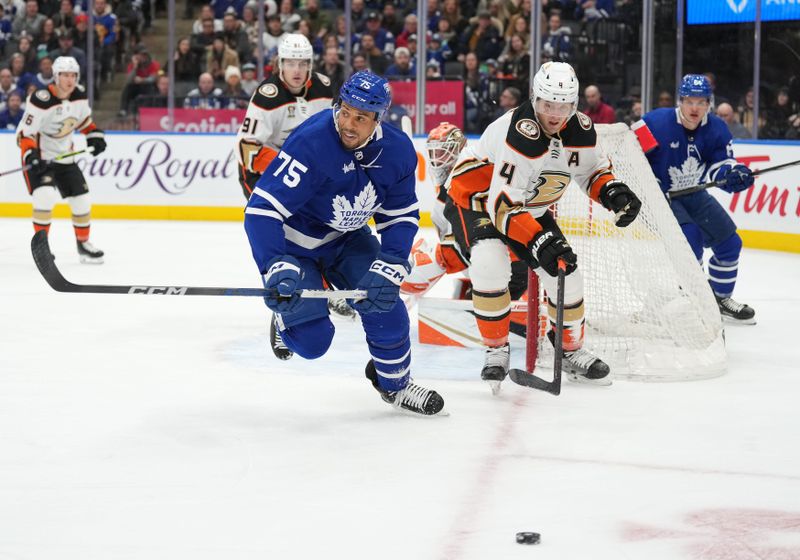 Feb 17, 2024; Toronto, Ontario, CAN; Toronto Maple Leafs right wing Ryan Reaves (75) battles for the puck with Anaheim Ducks defenceman Cam Fowler (4) during the first period at Scotiabank Arena. Mandatory Credit: Nick Turchiaro-USA TODAY Sports