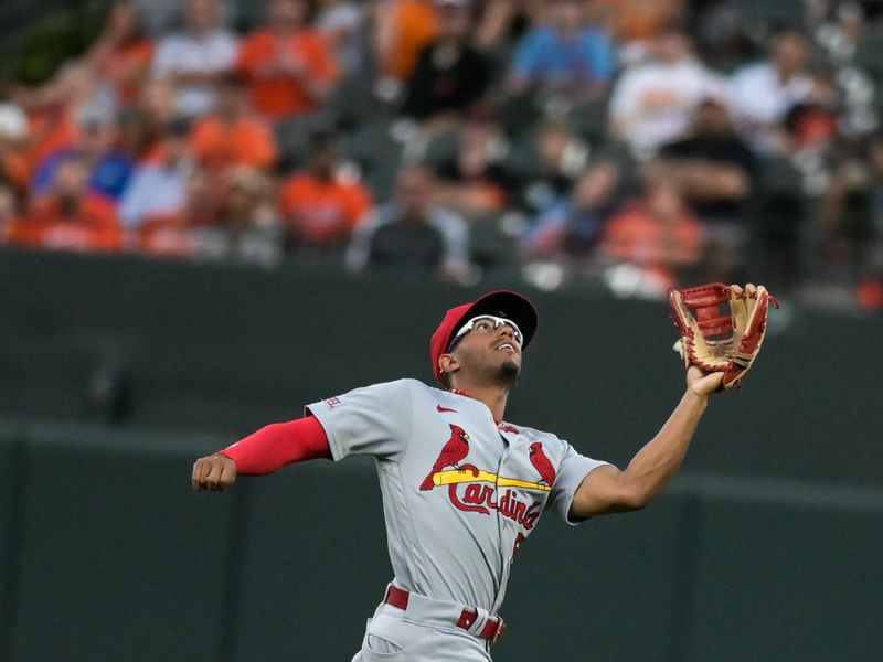 Sep 13, 2023; Baltimore, Maryland, USA;  St. Louis Cardinals outfielder Richie Palacios (67) runs downs second inning fly ball against the Baltimore Orioles at Oriole Park at Camden Yards. Mandatory Credit: Tommy Gilligan-USA TODAY Sports