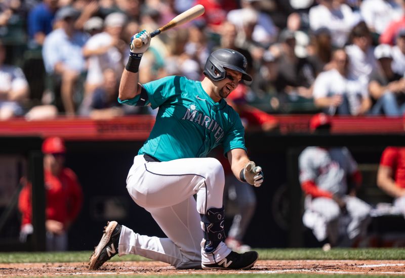 Jul 24, 2024; Seattle, Washington, USA;  Seattle Mariners catcher Cal Raleigh (29) reacts after fouling a pitch off his foot during the third inning against the Los Angeles Angels at T-Mobile Park. Mandatory Credit: Stephen Brashear-USA TODAY Sports