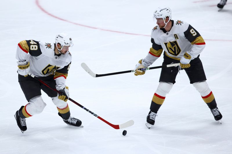 Nov 13, 2024; Anaheim, California, USA; Vegas Golden Knights center Tomas Hertl (48) skates with the puck  against the Anaheim Ducks during the third period of a hockey game at Honda Center. Mandatory Credit: Jessica Alcheh-Imagn Images