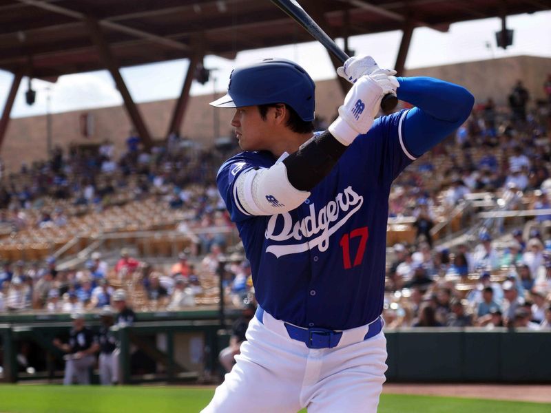 Feb 27, 2024; Phoenix, Arizona, USA; Los Angeles Dodgers designated hitter Shohei Ohtani (17) waits on deck during the third inning against the Chicago White Sox at Camelback Ranch-Glendale. Mandatory Credit: Joe Camporeale-USA TODAY Sports