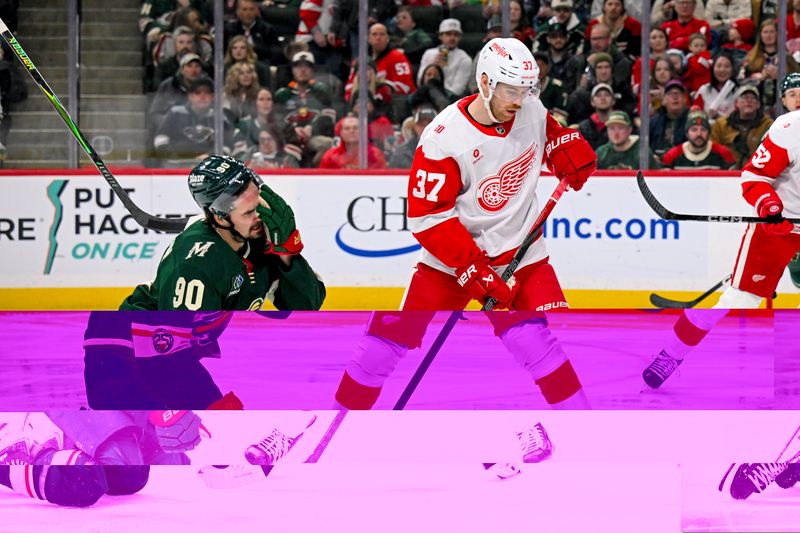 Did Minnesota Wild's Overtime Goal Seal the Win Against Detroit Red Wings?