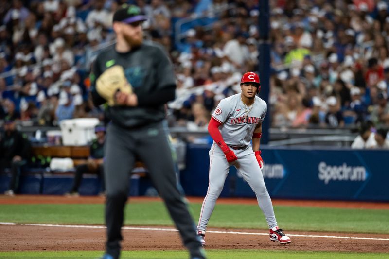 Jul 27, 2024; St. Petersburg, Florida, USA; Cincinnati Reds third base Noelvi Marte (16) watches Tampa Bay Rays pitcher Zack Littell (52) during the third inning at Tropicana Field. Mandatory Credit: Matt Pendleton-USA TODAY Sports