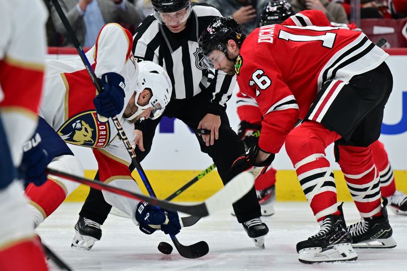 Nov 21, 2024; Chicago, Illinois, USA; Florida Panthers center Aleksander Barkov (16) and Chicago Blackhawks center Jason Dickinson (16) face off during the second period at the United Center. Mandatory Credit: Daniel Bartel-Imagn Images