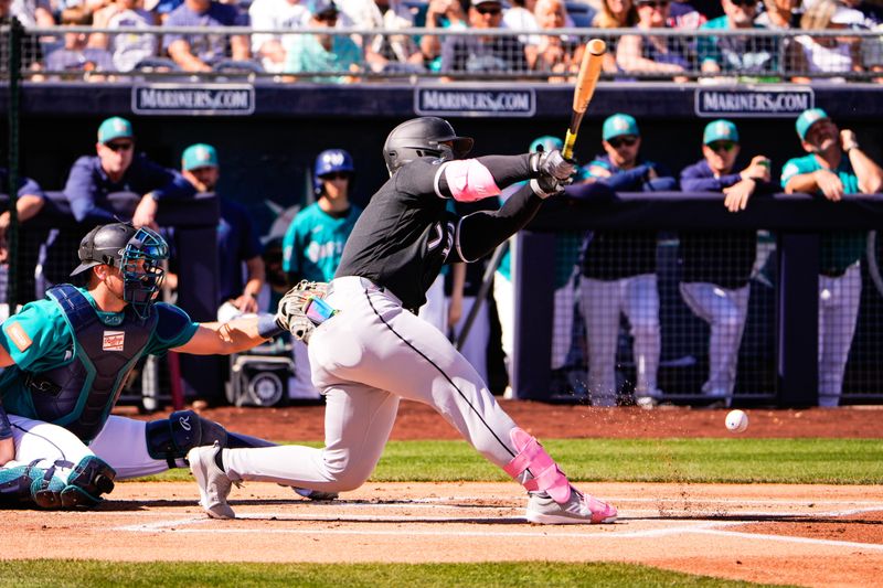 Feb 24, 2026; Peoria, Arizona, USA; Chicago White Sox catcher Edgar Quero (7) at bat during the first inning against the Seattle Mariners in Peoria, Arizona. Mandatory Credit: Arianna Grainey-Imagn Images