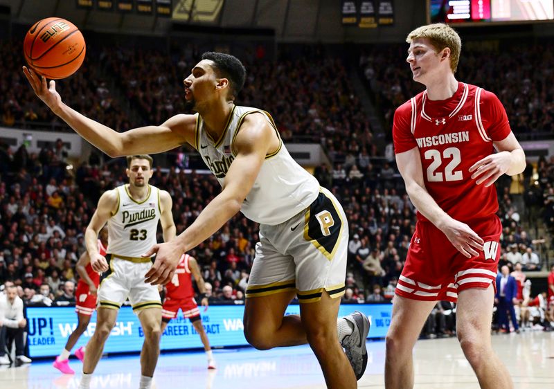 Feb 15, 2025; West Lafayette, Indiana, USA; Purdue Boilermakers forward Trey Kaufman-Renn (4) reaches for a rebound in front of Wisconsin Badgers forward Steven Crowl (22) during the first half at Mackey Arena. Mandatory Credit: Marc Lebryk-Imagn Images