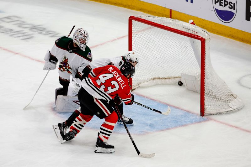 Mar 10, 2024; Chicago, Illinois, USA; Chicago Blackhawks center Colin Blackwell (43) scores against the Arizona Coyotes during the second period at United Center. Mandatory Credit: Kamil Krzaczynski-USA TODAY Sports